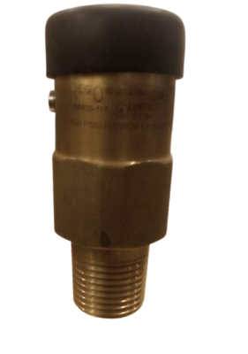 LPG Safety Vaporizer - 1/2 inch Inlet, 2.5L Capacity for Commercial & Industrial Use 4 of Indus 3 Precision Burner Parts & Industrial Fasteners, Delivered Nationwide. LPG Safety Vaporizer - 1/2 inch Inlet, 2.5L Capacity for Commercial & Industrial Use - Image 3